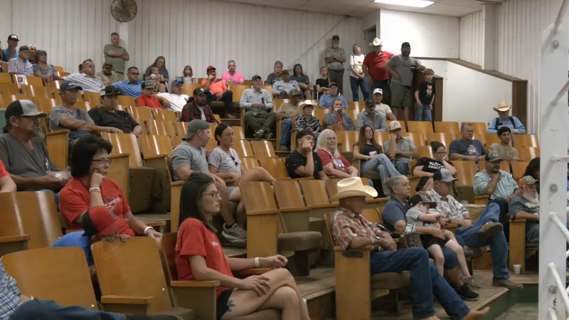 Thousands of dollars raised through Collinsville auction for children of woman killed in murder-suicide