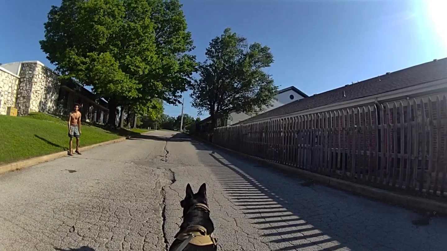 K-9 helps Tulsa police track down suspect in stolen vehicle case