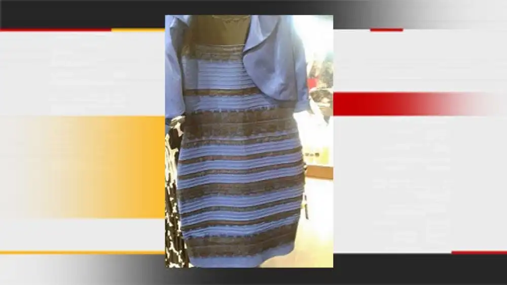 Science Explains Why People Can't Agree On The Color Of This Dress - News9.com Science Explains Why People Can't Agree On The Color Of This Dress - News9.com