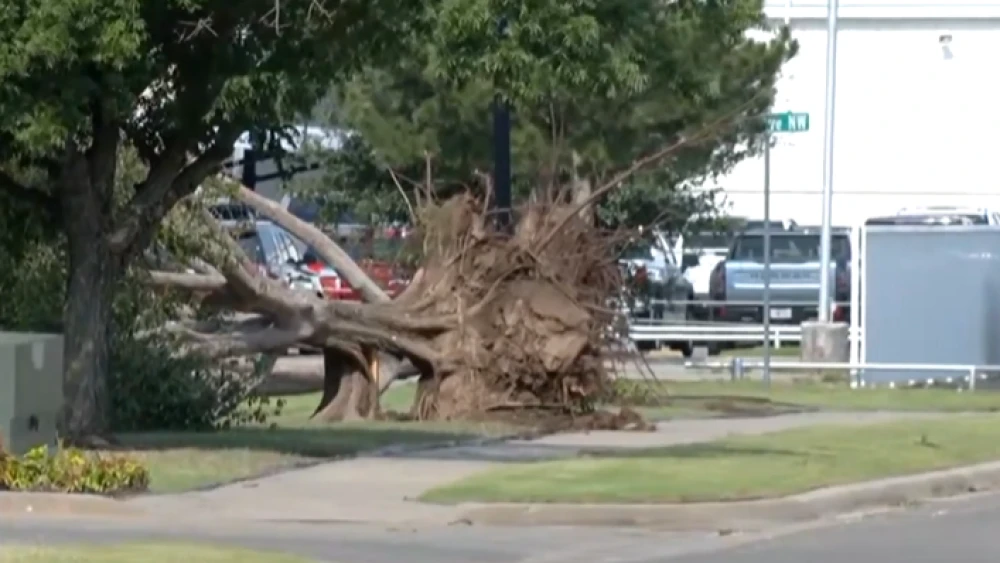 Norman crews assess damage following severe storms - News9.com