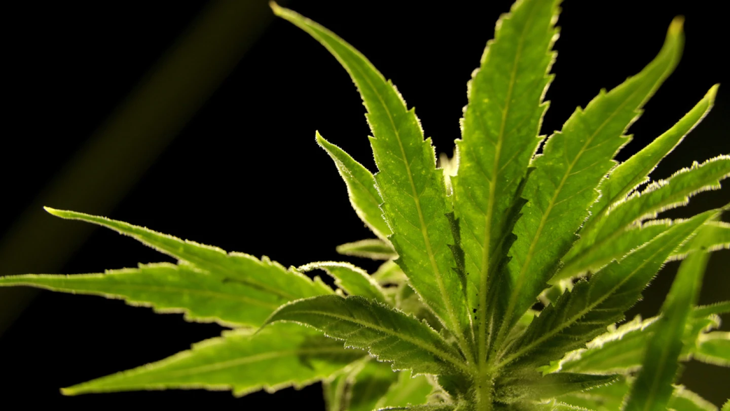 Will changes coming to medical marijuana packaging protect Oklahoma children?